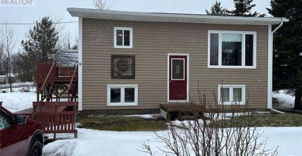 Gander Bay, NL Real Estate