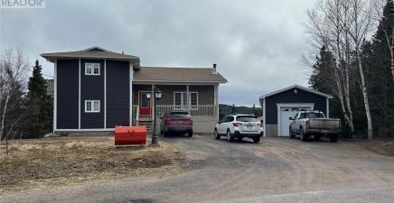 Musgravetown, NL Real Estate