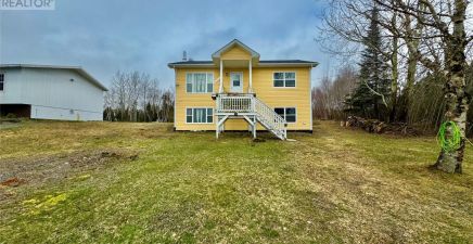Little Burnt Bay, NL Real Estate