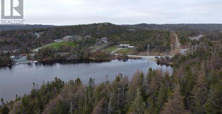 Cape Broyle, NL Real Estate