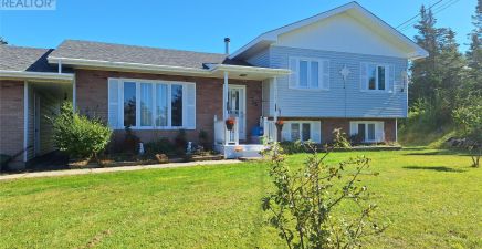 St. George`s, NL Real Estate