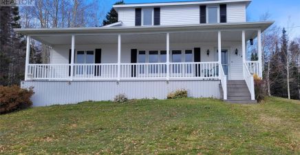 Norris Arm North, NL Real Estate