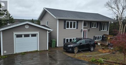 Lewins Cove, NL Real Estate