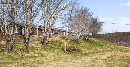 Fermeuse, NL Real Estate
