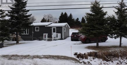 Barachois Brook, NL Real Estate