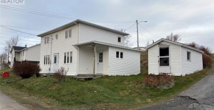 Salmon Cove, NL Real Estate