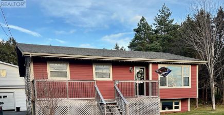 South River, NL Real Estate