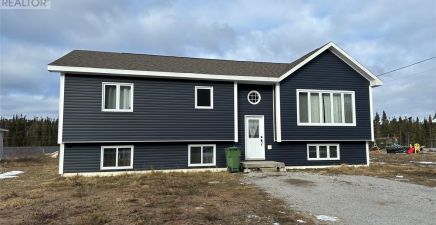 Reidville, NL Real Estate