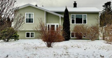 Sandy Cove, NL Real Estate