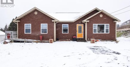 Colliers, NL Real Estate