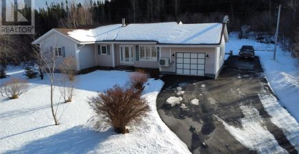 Port Anson, NL Real Estate