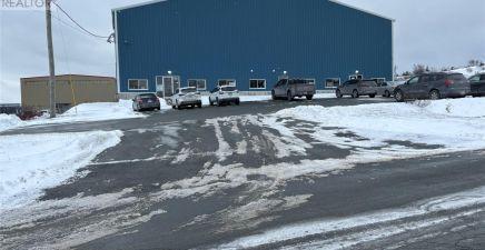 22 Pollard Avenue, Paradise, NL A1L0X7